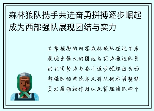 森林狼队携手共进奋勇拼搏逐步崛起成为西部强队展现团结与实力